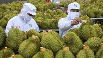 Giữ vững 'tay lái' vĩ mô: 6 tháng đầu năm tăng trưởng trong thế trận khó
