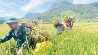 Tuổi trẻ Bộ đội Biên phòng xung kích trên nhiều mặt trận