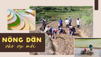 Nông dân vào vụ mới