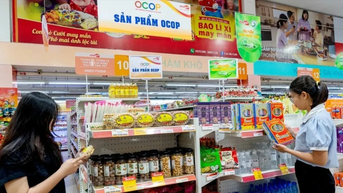 Vai trò dẫn dắt của doanh nghiệp nhà nước