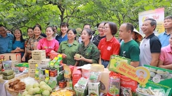 'Gian hàng sản phẩm Thái Nguyên' trên Shopee quy tụ trên 5.000 nhà bán