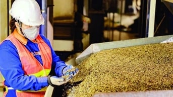 Xuất khẩu cà-phê xác lập kỷ lục mới