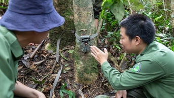 163 ពាន់លានដុងដើម្បីជួយខេត្ត Quang Tri ការពារ Saola ពីហានិភ័យនៃការផុតពូជ