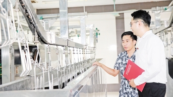 Sử dụng hiệu quả vốn vay, đa dạng hóa sản phẩm