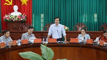Đồng Tháp đẩy mạnh số hóa 100% thủ tục hành chính đủ điều kiện, phát triển công dân số