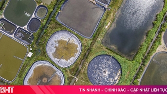 Sớm "hồi sinh" vùng nuôi trồng thủy sản Thạch Bàn