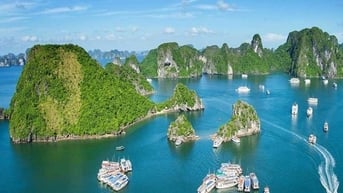 Rà soát, hoàn thiện Nhiệm vụ lập Quy hoạch bảo quản, tu bổ, phục hồi Di tích quốc gia đặc biệt Danh lam thắng cảnh vịnh Hạ Long