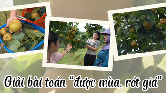 ដោះស្រាយបញ្ហា "ប្រមូលផលល្អ តម្លៃទាប"