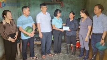 Hội Nông dân tỉnh: Tích cực tham gia các hoạt động an sinh xã hội