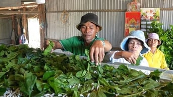 Phó Giám đốc Sở NNMT tỉnh Lâm Đồng: 5 giải pháp giảm nghèo bền vững vùng nông thôn