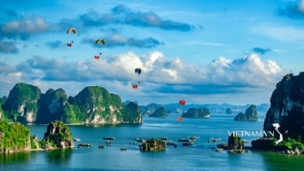 Bay trên miền di sản