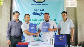 Công ty Domilk ký kết hợp tác cùng nông hộ chăn nuôi bò sữa