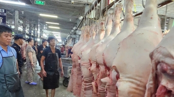 Giá heo liên tục giảm do ảnh hưởng dịch bệnh?