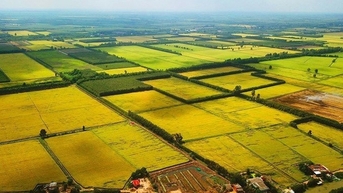 បទប្បញ្ញត្តិដែលបានស្នើឡើង ណែនាំការពន្យាររយៈពេលលើកលែងពន្ធលើការប្រើប្រាស់ដីកសិកម្ម