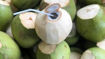 Dừa tươi Việt Nam: Từ đặc sản địa phương đến ngành hàng tỷ USD