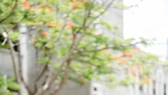 Trần Vĩnh Khang – Thủ khoa khối D07 toàn quốc
