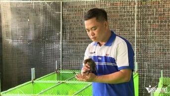 Nông dân Bắc Ninh hồi sinh loài chim quý hiếm, trở thành tỷ phú