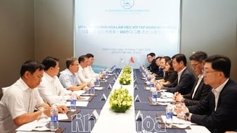 Phó Chủ tịch UBND tỉnh Trần Hòa Nam làm việc với Tập đoàn HD Huyndai