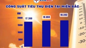 Tiêu thụ điện lập đỉnh mới, EVNNPC khuyến cáo sử dụng điện tiết kiệm, hiệu quả