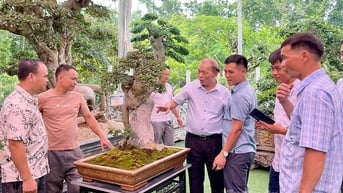 Hơn 200 tác phẩm trưng bày tại Triển lãm sinh vật cảnh tỉnh Tuyên Quang