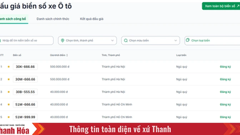 6 phiên đấu giá biển số xe, thu gần 6.600 tỷ đồng nộp ngân sách