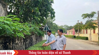 Bí thư chi bộ, trưởng thôn tận tâm với công việc