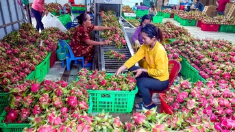 Tiêu thụ chéo