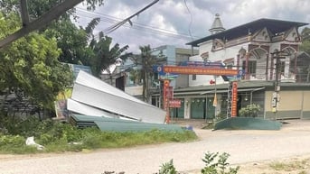 Dông lốc làm gãy đổ nhiều cây xanh, hư hại công trình dân sinh