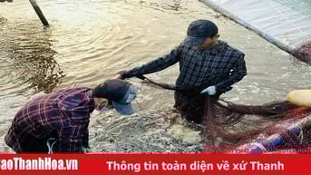 Hiệu quả từ mô hình nuôi trồng thủy sản ở xã Hoằng Châu