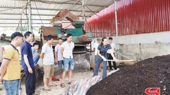 Giải pháp xử lý chất thải cà phê