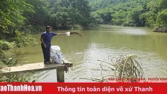Thung lũng hồi sinh