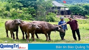 Hơn 8.400 người dân được vay vốn phát triển kinh tế