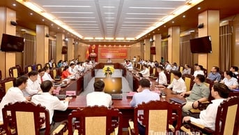 Công bố Nghị quyết của HĐND tỉnh, Quyết định của UBND tỉnh về tổ chức bộ máy và công tác cán bộ