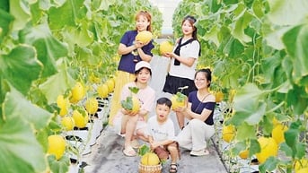 Thêm cơ hội phát triển du lịch nông nghiệp, nông thôn