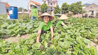Nhân rộng những điển hình tiên tiến trong phụ nữ