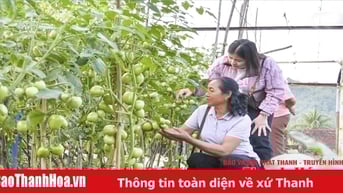 Phát triển bền vững cây trồng khu vực miền núi