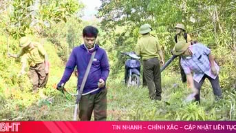 Cấp bách trong công tác phòng cháy, chữa cháy rừng