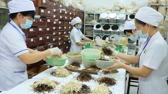Hướng dẫn thanh toán BHYT đối với thuốc y học cổ truyền