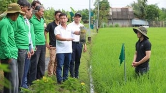 Sáng kiến 'EkoClimate' thúc đẩy nông nghiệp bền vững tại Tây Ninh