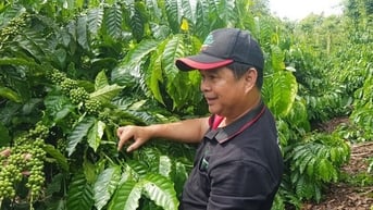 Nestlé Việt Nam đẩy mạnh đầu tư, phát triển bền vững, tiên phong bảo vệ môi trường
