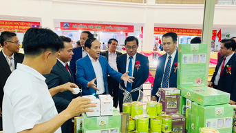 Tạo sức bật cho doanh nghiệp khởi nghiệp