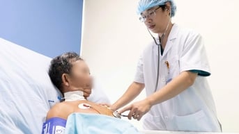 Người đàn ông bị ong vò vẽ đốt hơn 30 mũi, rơi vào hôn mê, suy đa cơ quan