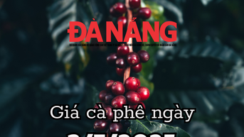 Tin tức, dự báo giá cà phê ngày mai 3/7/2025 tăng kịch kim lên đỉnh giá 96.000 đồng/kg