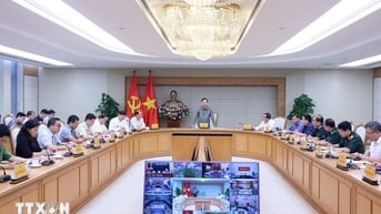 Rà soát toàn diện, sẵn sàng bảo vệ dân trước bão số 3