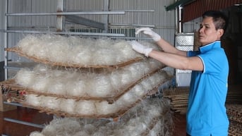 Bánh đa Lộ Cương lần đầu xuất khẩu sang Nhật Bản