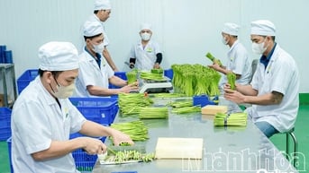 Nông nghiệp Khánh Hòa đón thời cơ mới