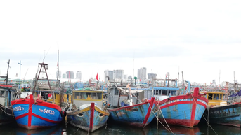 Đà Nẵng huy động toàn lực ứng phó bão số 3 (Wipha)