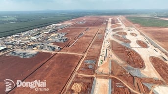 Khẩn trương hoàn thành giải phóng mặt bằng hạng mục tuyến thoát nước ngoài ranh Dự án Sân bay Long Thành