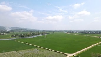 Động lực phát triển kinh tế bền vững