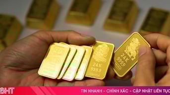 Giá vàng hôm nay 21/7: Vàng miếng tăng tốc – nhà đầu tư nên chọn gì?